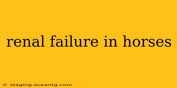 renal failure in horses
