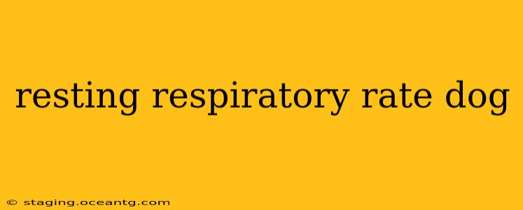 resting respiratory rate dog