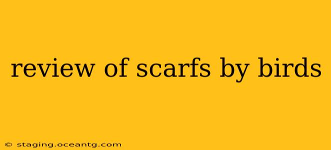 review of scarfs by birds