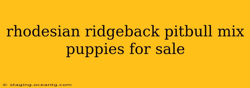 rhodesian ridgeback pitbull mix puppies for sale