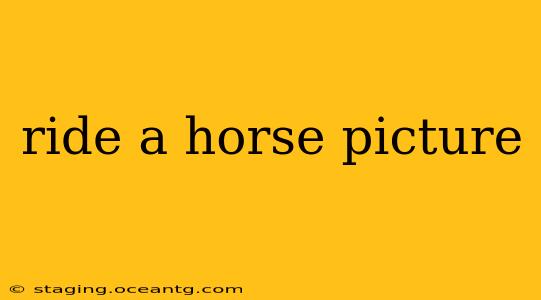 ride a horse picture