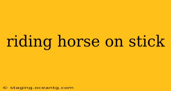 riding horse on stick