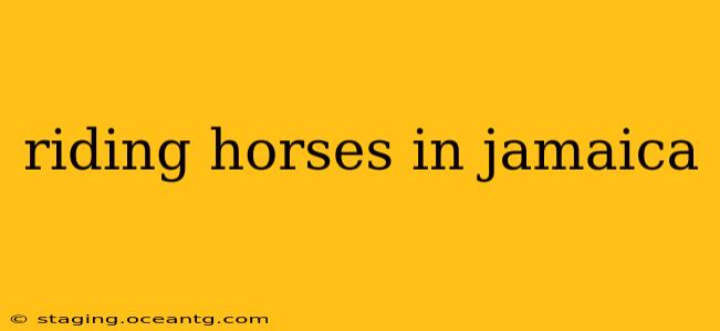 riding horses in jamaica