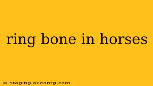 ring bone in horses