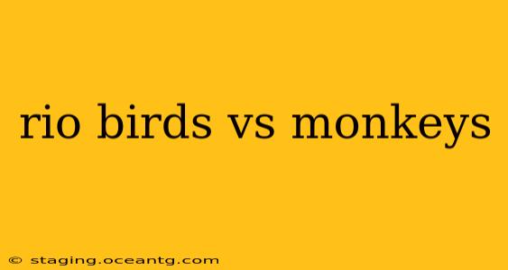 rio birds vs monkeys