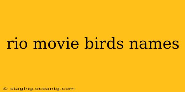 rio movie birds names