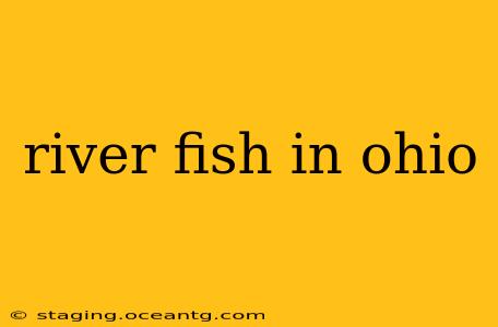 river fish in ohio