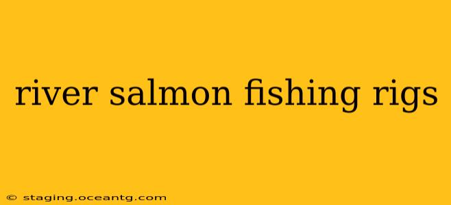 river salmon fishing rigs