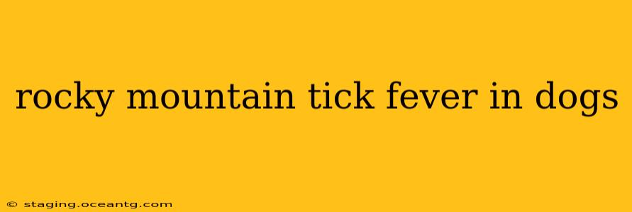 rocky mountain tick fever in dogs