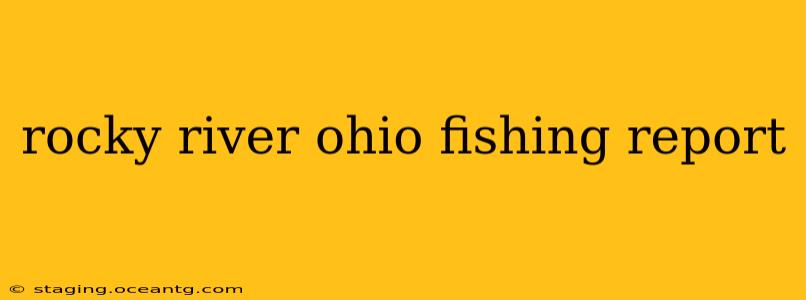 rocky river ohio fishing report