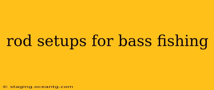 rod setups for bass fishing