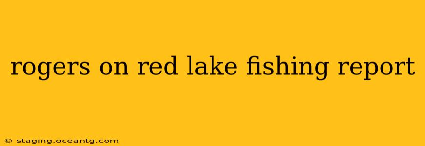 rogers on red lake fishing report