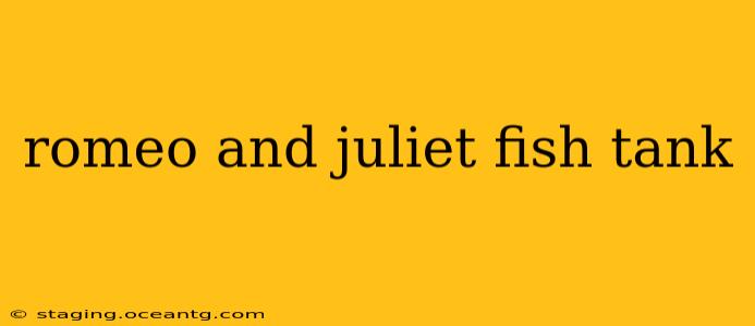 romeo and juliet fish tank