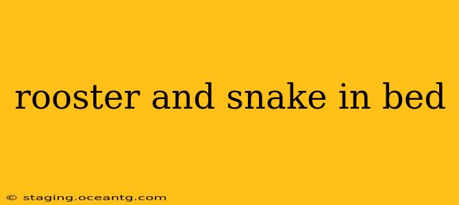 rooster and snake in bed