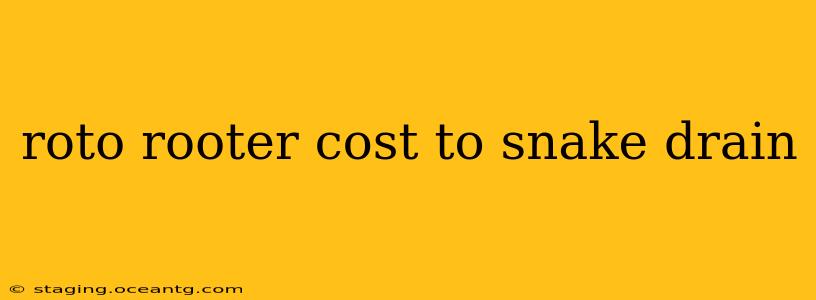 roto rooter cost to snake drain