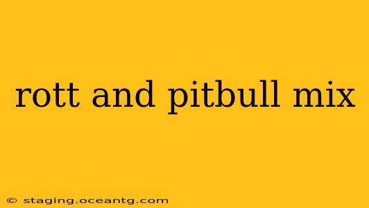 rott and pitbull mix
