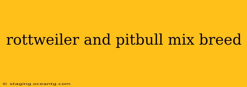 rottweiler and pitbull mix breed