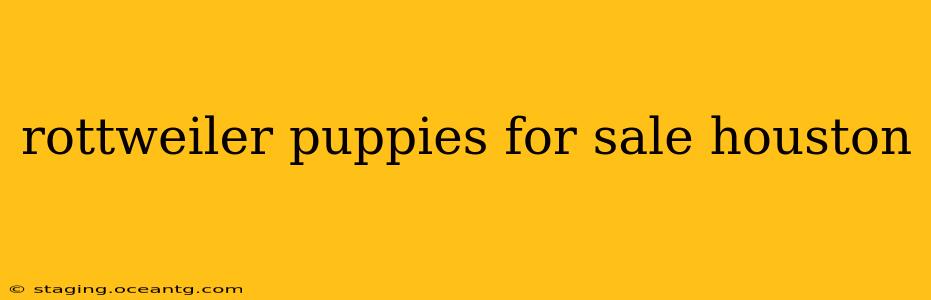 rottweiler puppies for sale houston