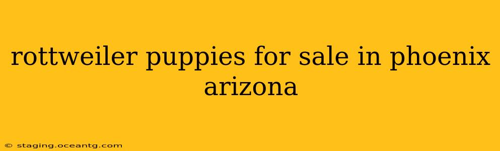 rottweiler puppies for sale in phoenix arizona