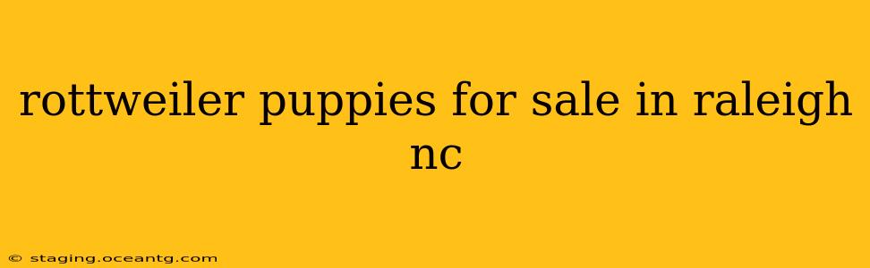 rottweiler puppies for sale in raleigh nc