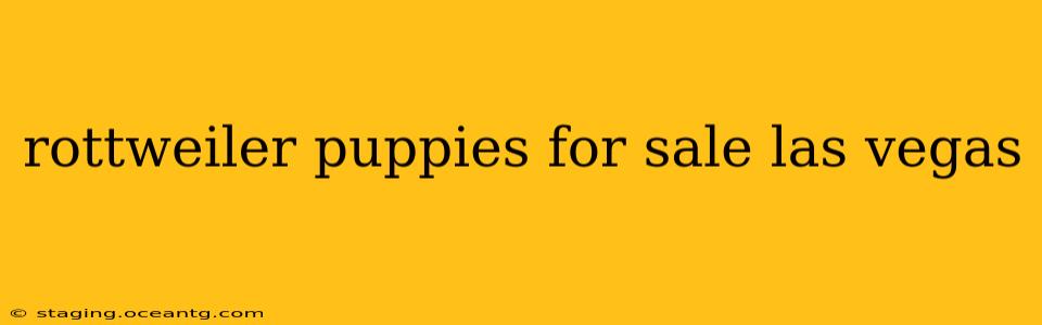 rottweiler puppies for sale las vegas