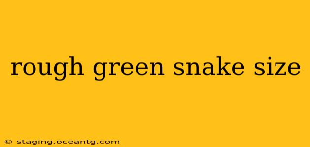 rough green snake size