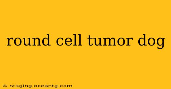 round cell tumor dog