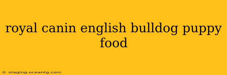 royal canin english bulldog puppy food