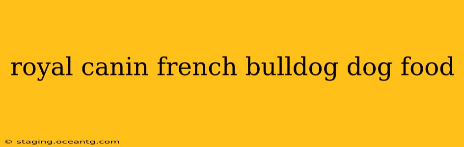 royal canin french bulldog dog food