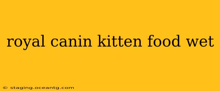 royal canin kitten food wet