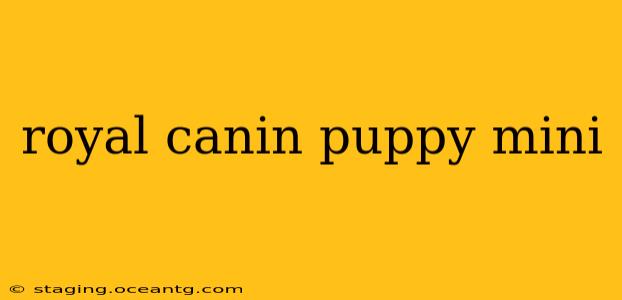 royal canin puppy mini