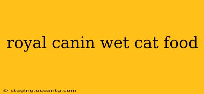 royal canin wet cat food