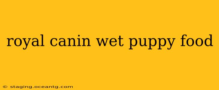 royal canin wet puppy food