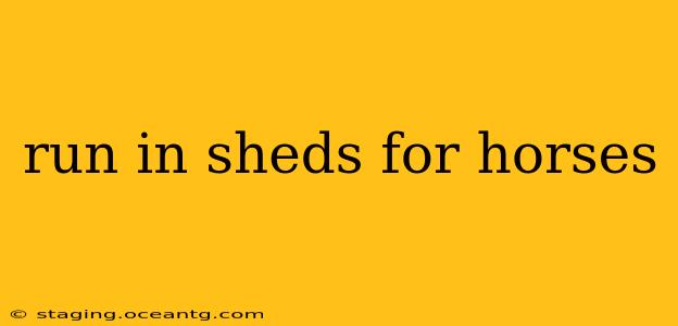 run in sheds for horses
