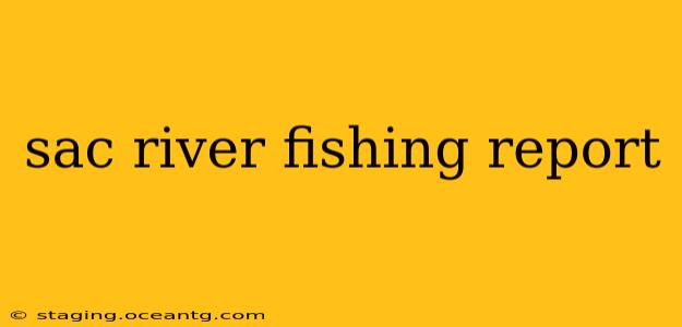 sac river fishing report