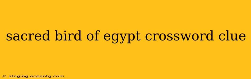 sacred bird of egypt crossword clue