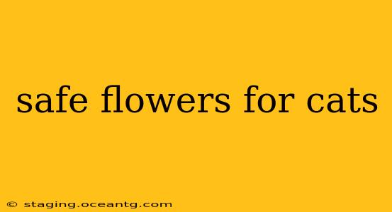 safe flowers for cats