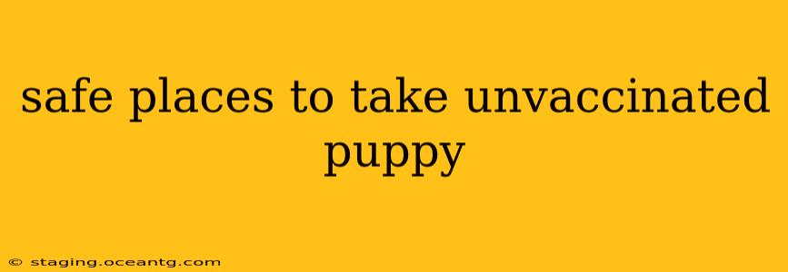 safe places to take unvaccinated puppy