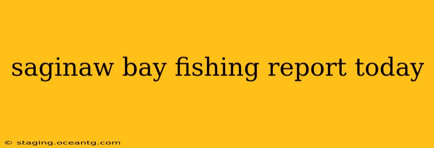 saginaw bay fishing report today