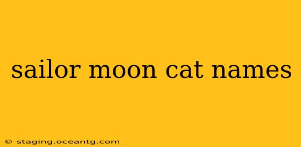 sailor moon cat names