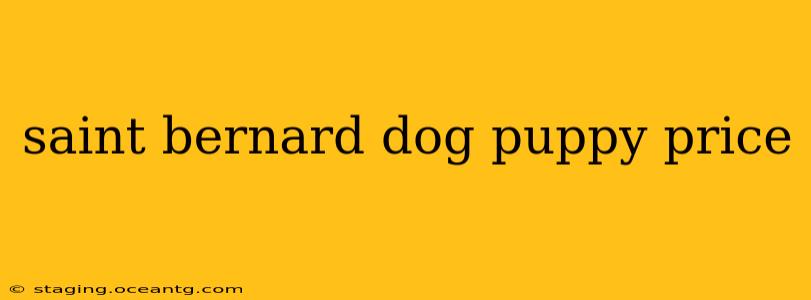 saint bernard dog puppy price