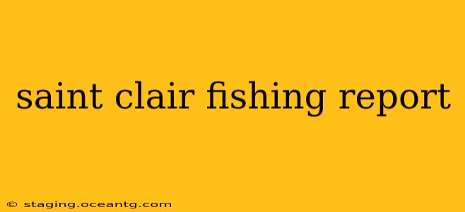 saint clair fishing report