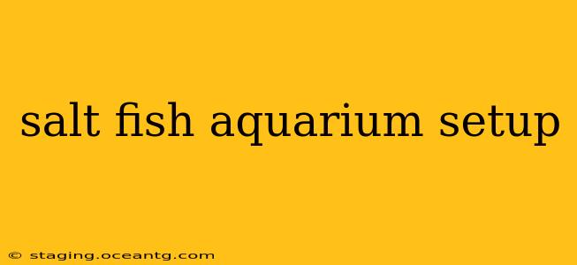 salt fish aquarium setup