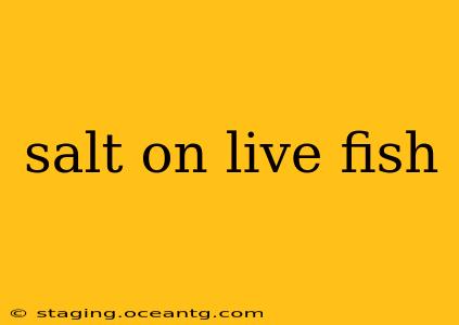 salt on live fish