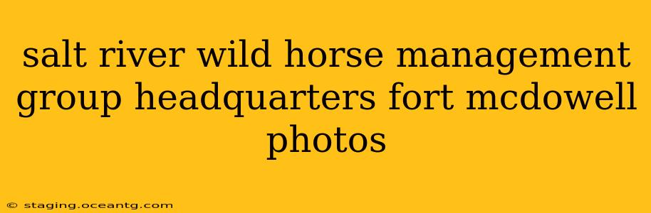salt river wild horse management group headquarters fort mcdowell photos