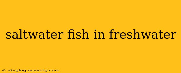 saltwater fish in freshwater