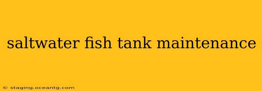 saltwater fish tank maintenance