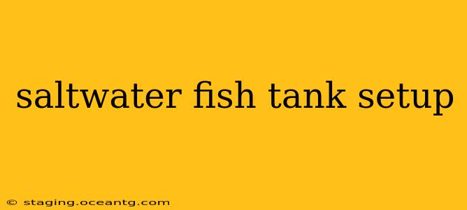 saltwater fish tank setup