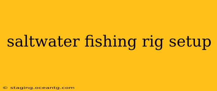 saltwater fishing rig setup