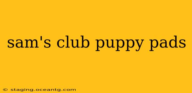sam's club puppy pads